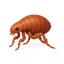 Bed bug treatment