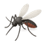Mosquito control