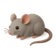 Rodent control